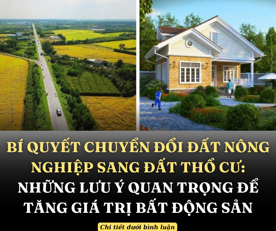 Những lưu ý khi chuyển đổi đất nông nghiệp sang thổ cư