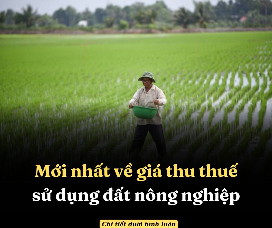 Mới nhất về giá thu thuế sử dụng đất nông nghiệp