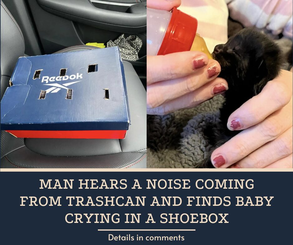 Man Hears A Noise Coming From Trashcan And Finds Baby Crying In A Shoebox