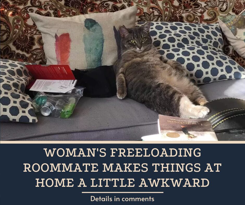 Woman’s Freeloading Roommate Makes Things At Home A Little Awkward