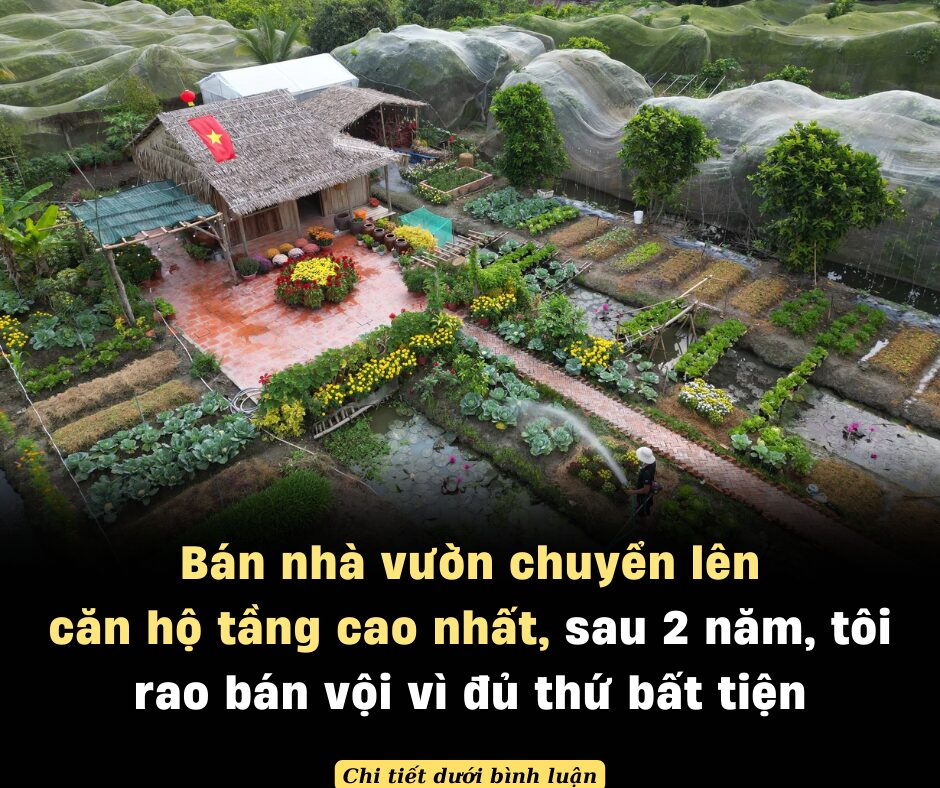 Bán nhà vườn chuyển lên căn hộ tầng cao nhất, sau 2 năm, tôi rao bán vội vì đủ thứ bất tiện