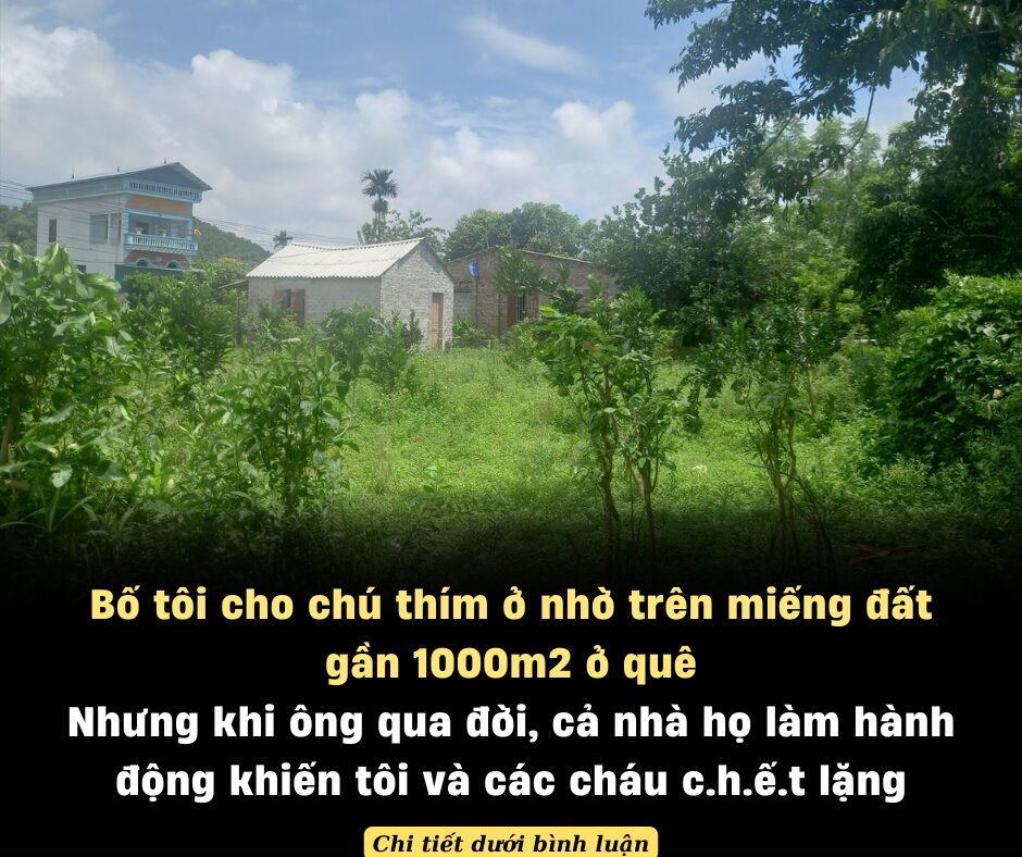 Bố tôi cho chú thím ở nhờ trên miếng đất gần 1000m2 ở quê nhưng khi ông qua đời, cả nhà họ làm hạnh động khiến tôi và các cháu chế:t lặng