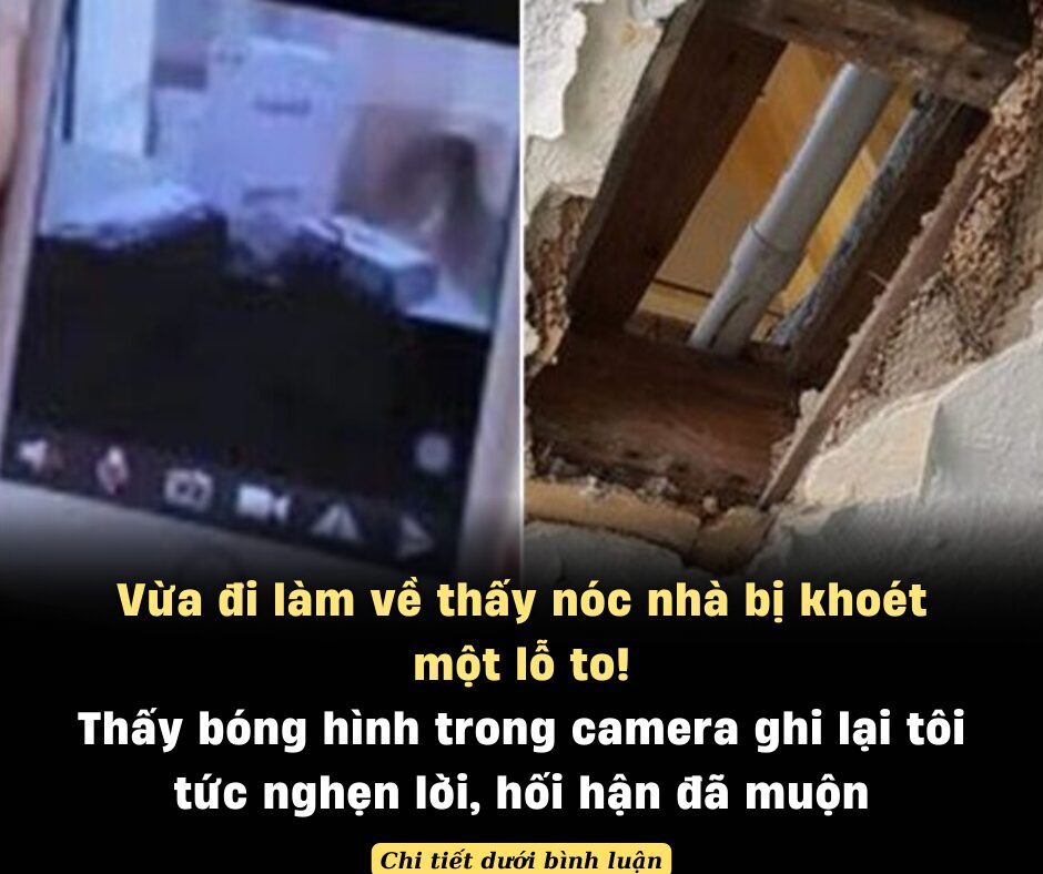 Vừa đi làm về thấy nóc nhà bị kh:o:é:t một lỗ to, thấy bóng hình trong camera ghi lại tôi t:ứ:c nghẹn lời, hối hận đã muộn