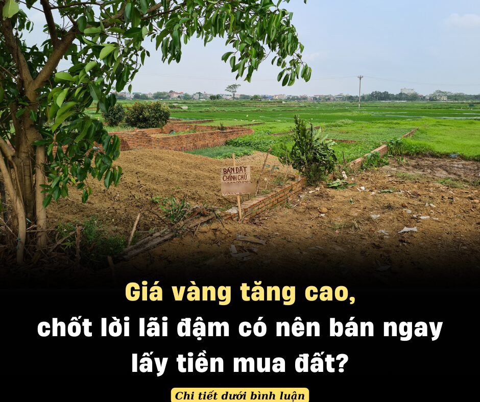 Giá vàng tăng cao, chốt lời lãi đậm có nên bán ngay lấy tiền mua đất?