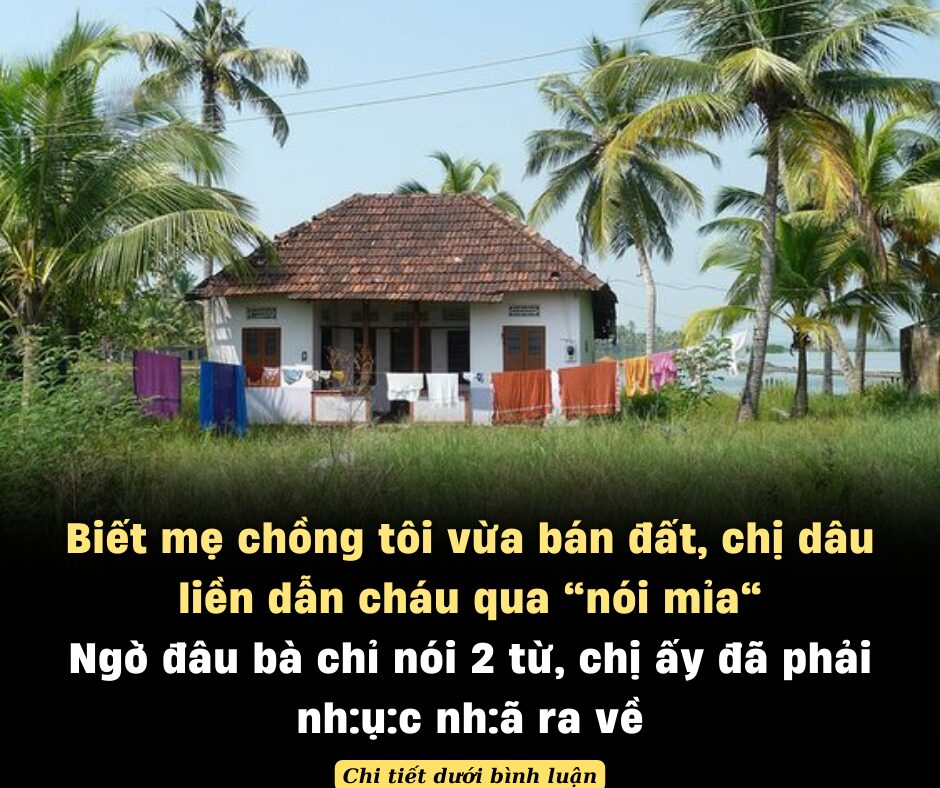 Biết mẹ chồng tôi vừa bán đất, chị dâu liền dẫn cháu qua “nói mỉa”, ngờ đâu bà chỉ nói 2 từ, chị ấy đã phải nhục nhã ra về