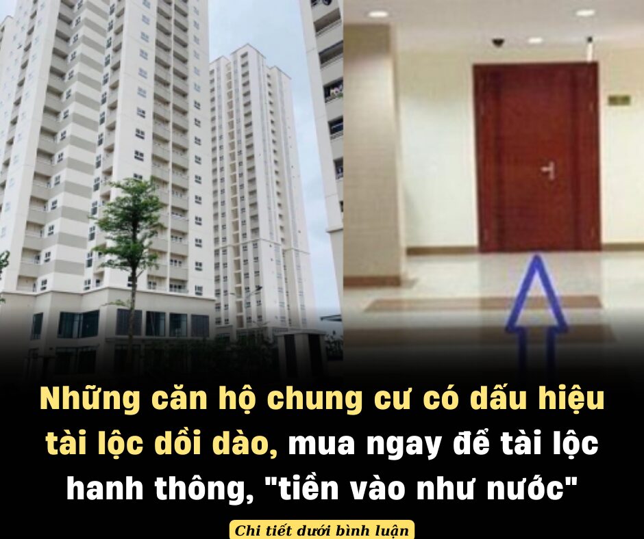 Những căn hộ chung cư có dấu hiệu tài lộc dồi dào, cần chớp cơ hội mua ngay để tài lộc hanh thông, “tiền vào như nước”