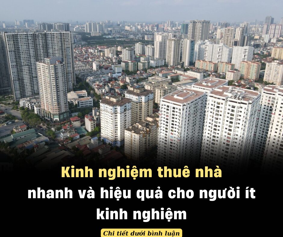 Kinh nghiệm thuê nhà nhanh và hiệu quả cho người ít kinh nghiệm