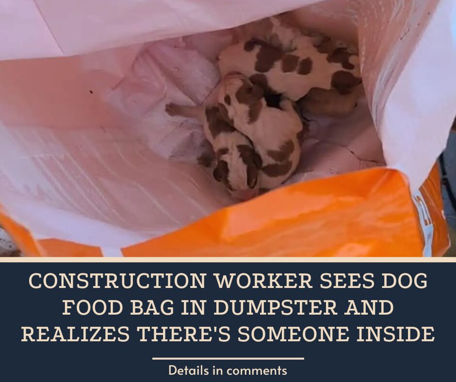 Construction Worker Sees Dog Food Bag In Dumpster And Realizes There’s Someone Inside