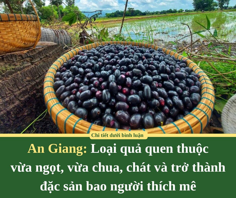 Loại quả quen thuộc vừa ngọt, vừa chua, chát và trở thành đặc sản bao người thích mê