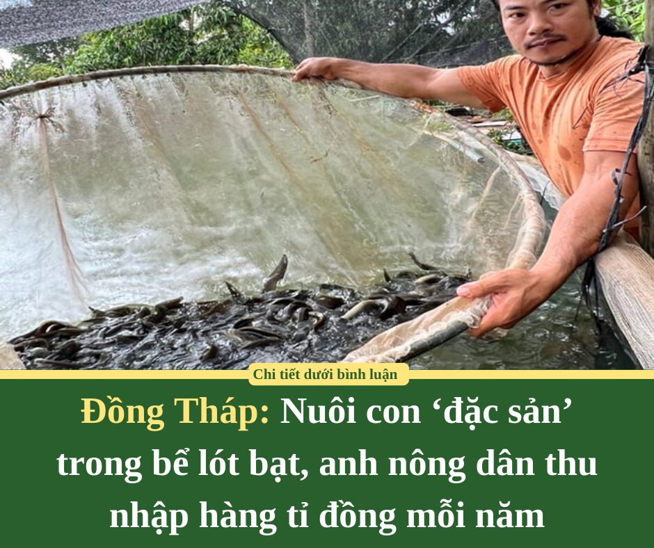 Nuôi con ‘đặc sản’ trong bể lót bạt, anh nông dân thu nhập hàng tỉ đồng mỗi năm