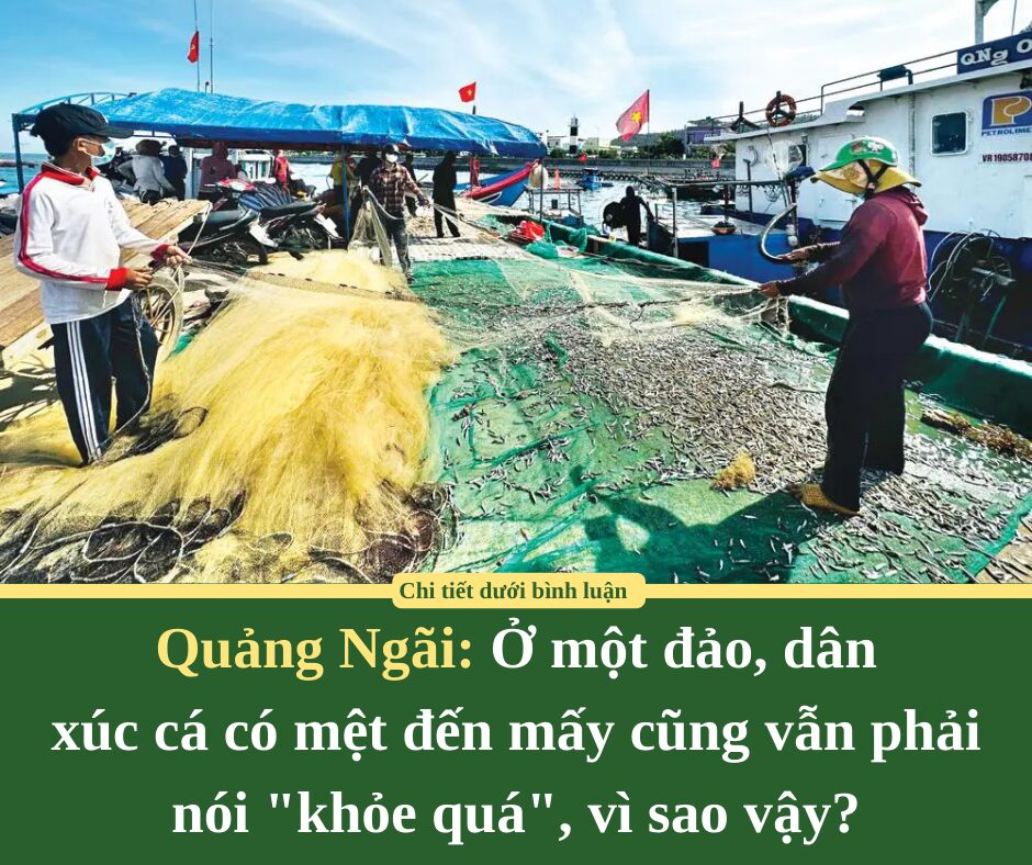 Ở một đảo của Quảng Ngãi, dân xúc cá có mệt đến mấy cũng vẫn phải nói “khỏe quá”, vì sao vậy?