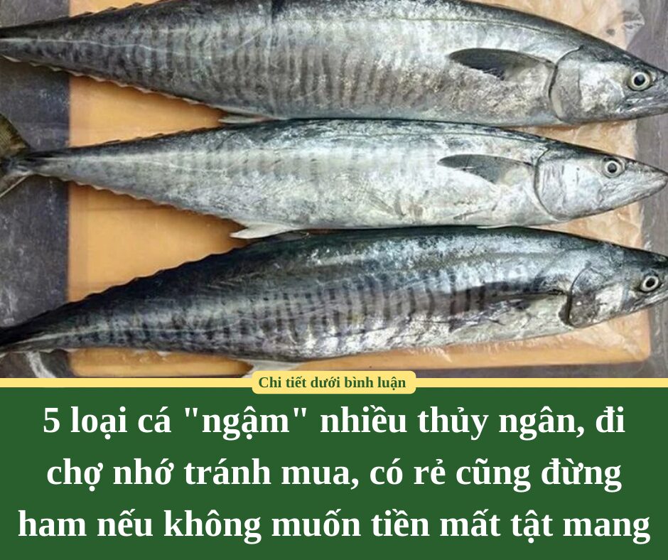 5 loại cá “ngậm” nhiều thủy ngân, đi chợ nhớ tránh mua, có rẻ cũng đừng ham nếu không muốn tiền mất tật mang