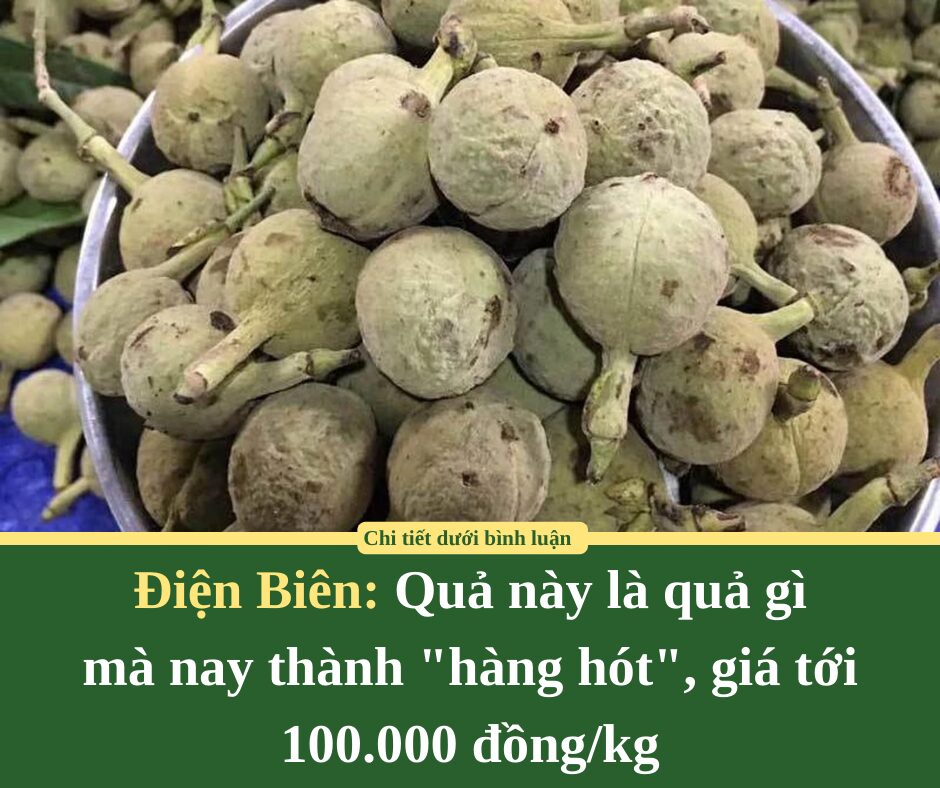 Quả này là quả gì mà nay thành “hàng hót”, giá tới 100.000 đồng/kg