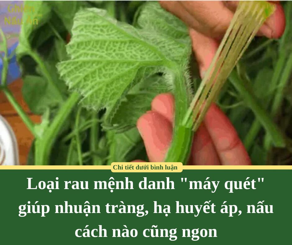 Loại rau mệnh danh “máy quét” giúp nhuận tràng, hạ huyết áp, nấu cách nào cũng ngon