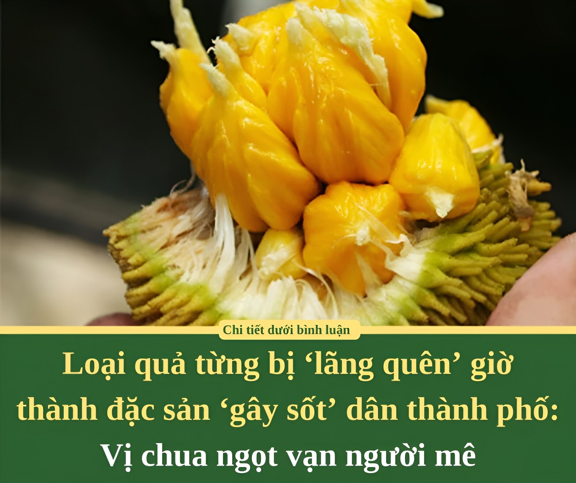 Loại quả từng bị ‘lãng quên’ giờ thành đặc sản ‘gây sốt’ dân thành phố: Vị chua ngọt vạn người mê