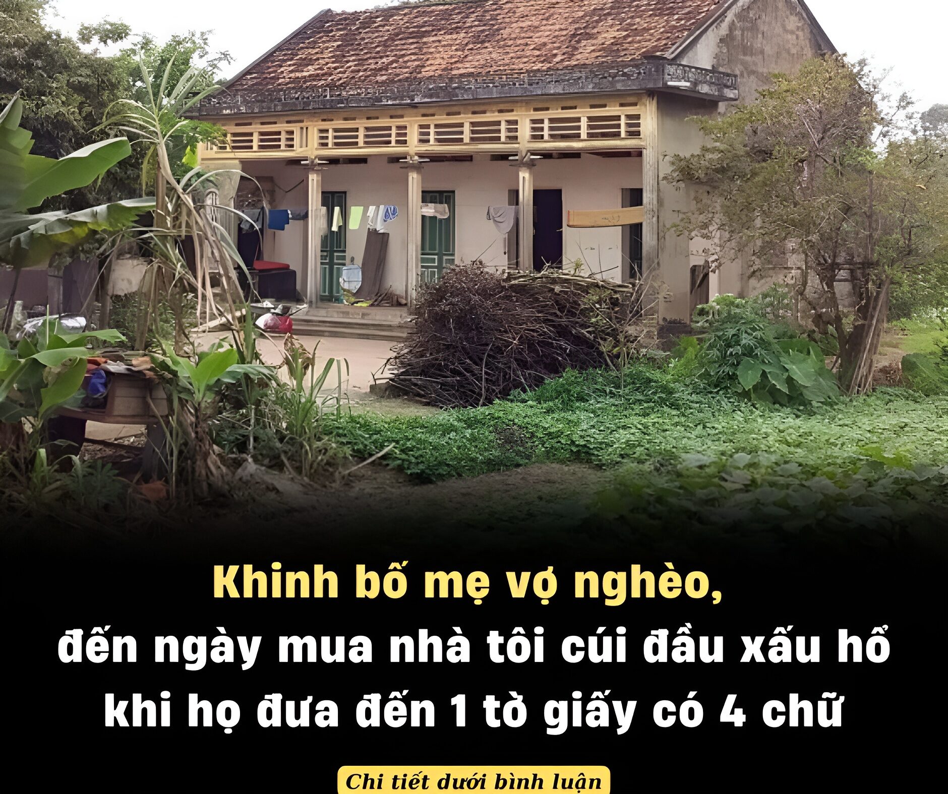 K:hinh bố mẹ vợ n:ghèo, đến ngày mua nhà tôi cúi đầu xấu hổ khi họ đưa đến 1 tờ giấy có 4 chữ