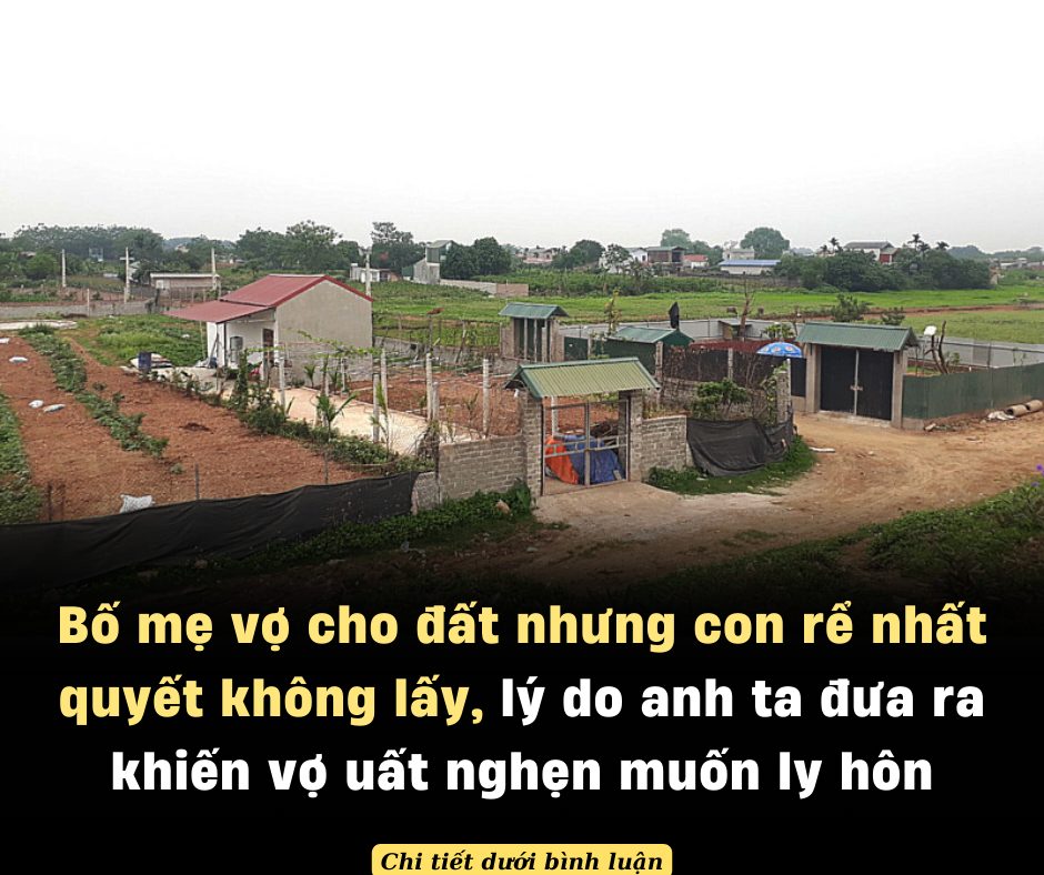 Bố mẹ vợ cho đất nhưng con rể nhất quyết không lấy, lý do anh ta đưa ra khiến vợ uất nghẹn muốn ly hôn