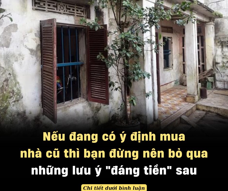 Nếu đang có ý định mua nhà cũ thì bạn đừng nên bỏ qua những lưu ý “đáng tiền” sau