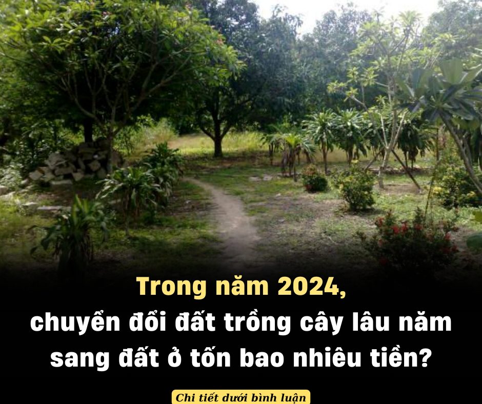 Trong năm 2024, chuyển đổi đất trồng cây lâu năm sang đất ở tốn bao nhiêu tiền?