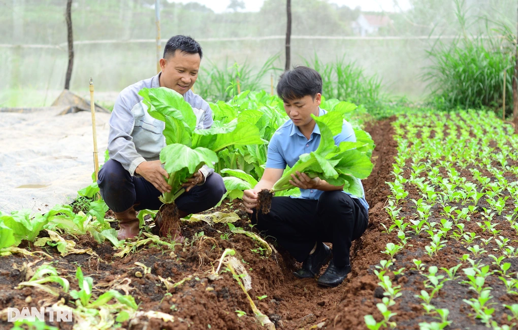 Bỏ công việc có mức lương nhiều người ước, chồng đưa vợ lên núi trồng rau