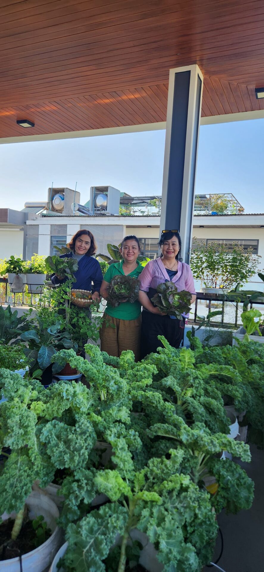 Mẹ đảm mê trồng cây sân thượng: Rau củ ăn quanh năm không hết phải mang tặng, vườn đẹp đến nỗi đồng nghiệp lẫn học sinh mầm non đến check-in