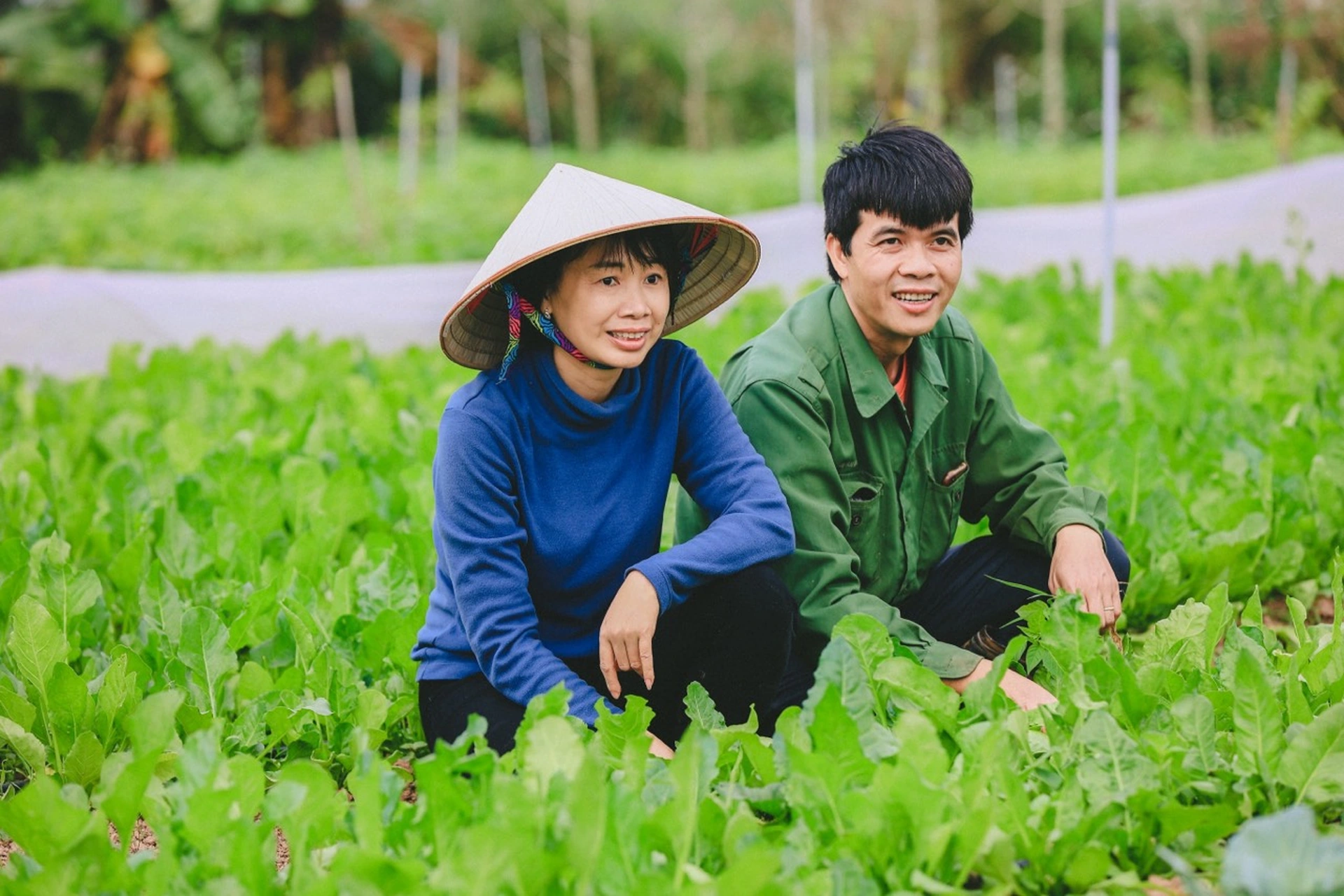 Vợ chồng tiến sỹ về quê làm nông dân, bán 5 tấn nông sản/tháng